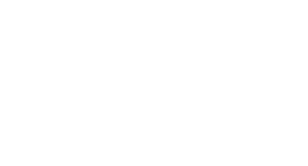 Stanley Thomas Johnson Foundation